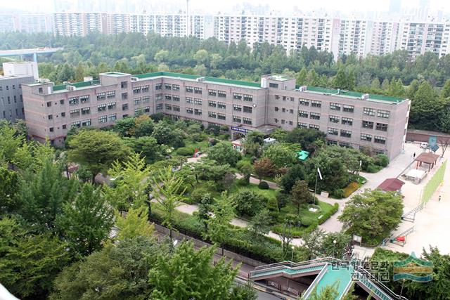 양전초
